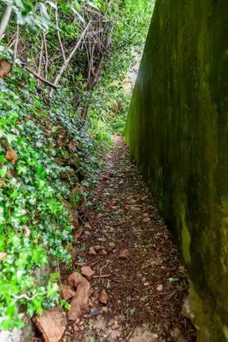 Rifugio Sul Lago Di Lugano A Porto Ceresio Buitenkant foto